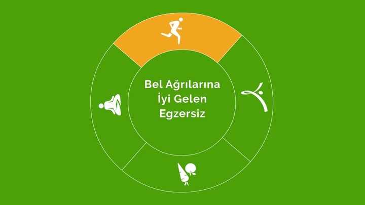 Bel ağrısı için egzersiz seti