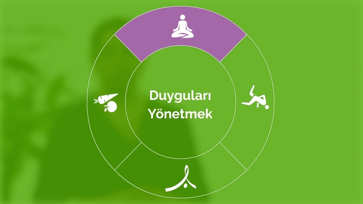 Mutluluk rehberi: Duyguları yönetmek