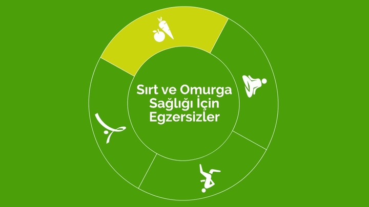 Omurga ve sırt sağlığın için egzersizler