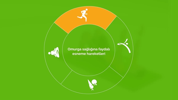 Omurga sağlığına faydalı esneme hareketleri