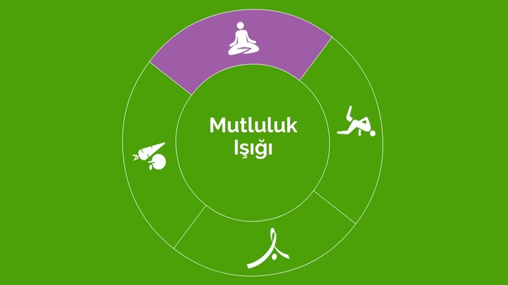 Mutluluk Rehberi: Mutluluk Işığı