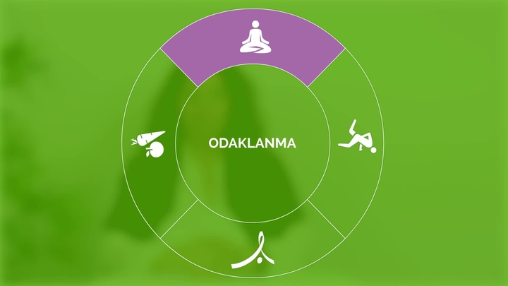 Mutluluk Rehberi: Odaklanma