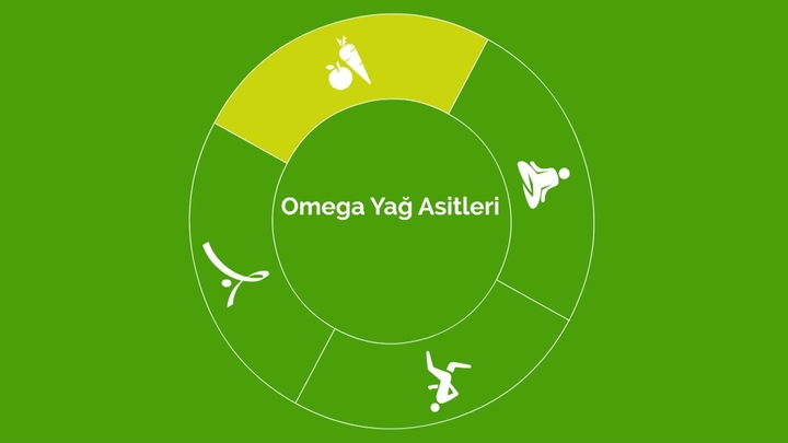 Omega yağ asitleri